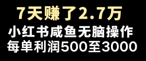 全网首发，7天赚了2.6万，2025利润超级高！-网创论坛