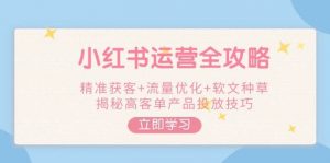 小红书运营全攻略，精准获客+流量优化+软文种草，揭秘高客单产品投放技巧-网创论坛