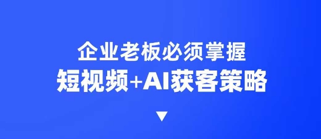 企业短视频AI获客霸屏流量课，6步短视频+AI突围法，3大霸屏抢客策略-网创论坛