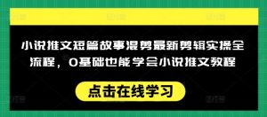 小说推文短篇故事混剪最新剪辑实操全流程，0基础也能学会小说推文教程，肯干多发日入多张-网创论坛