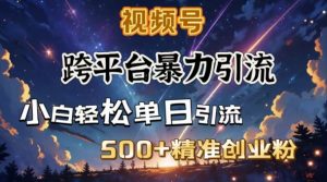 跨平台暴力引流，私域完美闭环，日引500+精准创业粉-网创论坛