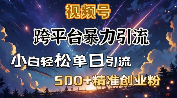 跨平台暴力引流,私域完美闭环,日引500+精准创业粉-网创论坛