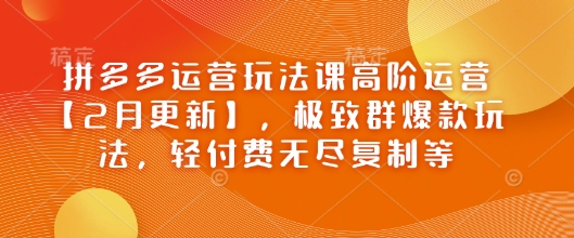 拼多多运营玩法课高阶运营【2月更新】，极致群爆款玩法，轻付费无尽复制等-网创论坛