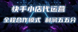 快手小店代运营 限时托管计划 合作模式 利润五五分成【揭秘】-网创论坛