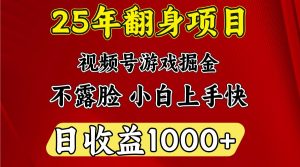 一天收益1000+ 25年开年落地好项目-网创论坛