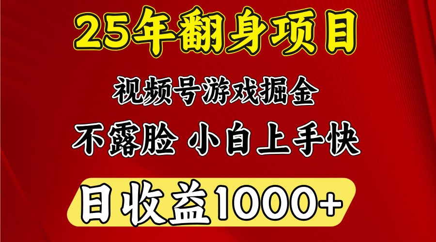 一天收益1000+ 25年开年落地好项目-网创论坛