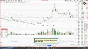 大师兄·鹿鼎山系列内部课程(更新2025年1月)-网创论坛