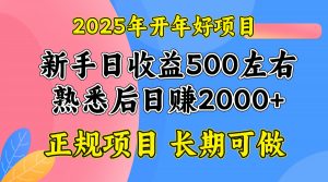 2025开年好项目，单号日收益2000左右-网创论坛
