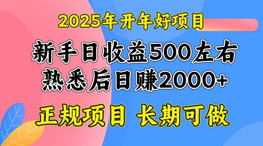 2025开年好项目，单号日收益2000左右-网创论坛