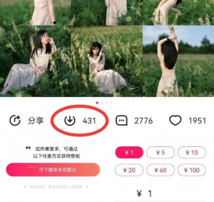 最新图虫搬运项目，收益无上限，利用AI小白也可日赚500+-网创论坛