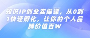 知识IP创业实操课，从0到1快速孵化，让你的个人品牌价值百W-网创论坛