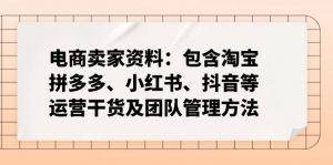 电商卖家资料：包含淘宝、拼多多、小红书、抖音等运营干货及团队管理方法-网创论坛