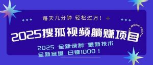 2025最新看视频躺赚收益项目 日赚1000-网创论坛