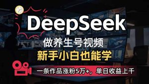 小白用DeepSeek做养生号，一条作品涨粉5万+，单日收益上千-网创论坛