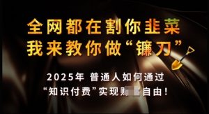 知识付费如何做到月入过W+，2025我来教你做“镰刀”【揭秘】-网创论坛