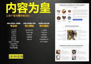 刘老师·外贸询盘增长秘籍从0到1的实战指南-网创论坛