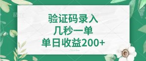 验证码录入，几秒一单，单日收益200+-网创论坛