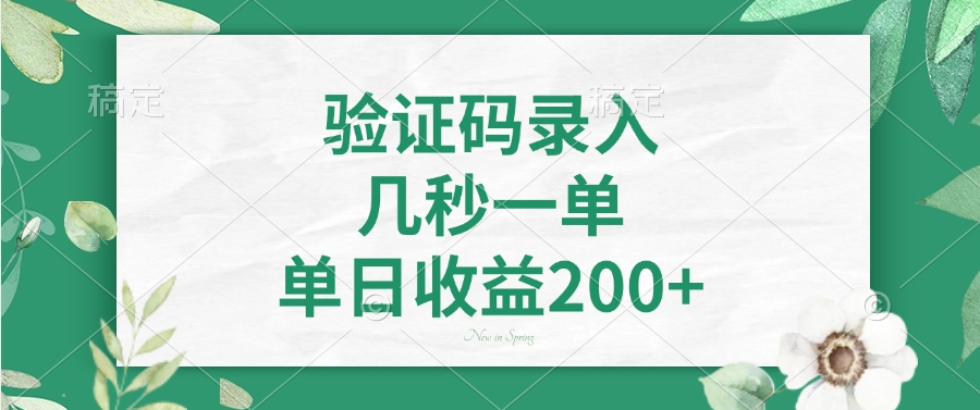 验证码录入，几秒一单，单日收益200+-网创论坛