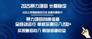 暴力项目舆情信息：多平台全自动运行 单机日入200+ 实现睡后收入-网创论坛