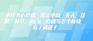 小红书必修课，覆盖电商，无人，获客，种草，mcn，直播等多个板块，看了就能干-网创论坛