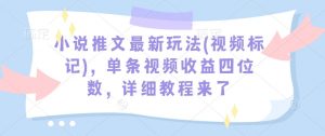 小说推文最新玩法(视频标记)，单条视频收益四位数，详细教程来了-网创论坛