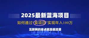 2025最新蓝海项目，零门槛轻松复制，月入10万+，新手也能操作！-网创论坛