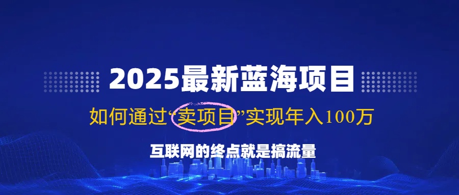 2025最新蓝海项目，零门槛轻松复制，月入10万+，新手也能操作！-网创论坛