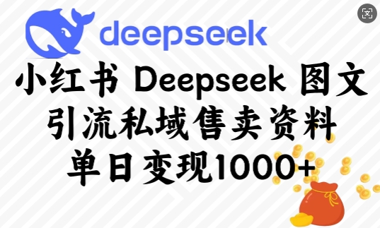 小红书Deepseek图文引流私域售卖资料，单日变现多张-网创论坛