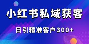 2025最新小红书平台引流获客截流自热玩法讲解，日引精准客户300+-网创论坛