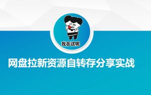 网盘拉新资源自动转存分享实战-网创论坛