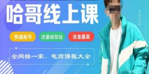 电商线上课程2025年，快速起号，流量破层级，这套方法起号率99%-网创论坛