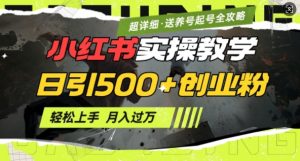 2月小红书最新日引500+创业粉实操教学【超详细】小白轻松上手，月入1W+，附小红书养号起号SOP-网创论坛