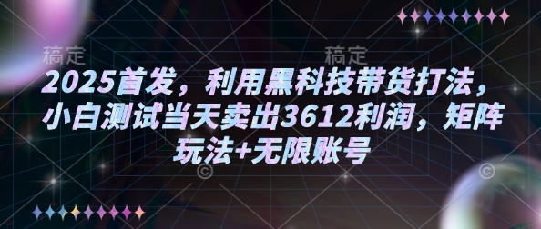 2025首发,利用黑科技带货打法,小白测试当天卖出3612利润,矩阵玩法+无限账号【揭秘】-网创论坛