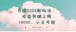 书旗2025新玩法，收益突破上限10000，小白可做-网创论坛