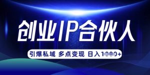 云帆·创业ip合伙人打造3.0，从0到1教你做网创，实现月入过W-网创论坛