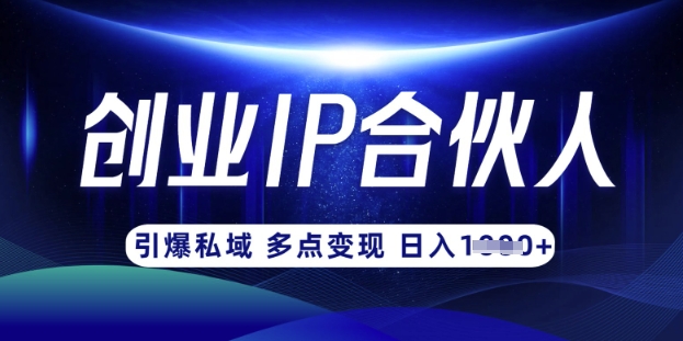 云帆·创业ip合伙人打造3.0,从0到1教你做网创,实现月入过W-网创论坛
