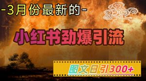 小红书超劲爆引流手段，图文日引300+轻松变现1W-网创论坛