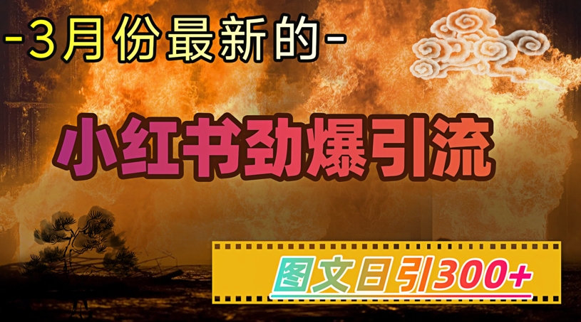 小红书超劲爆引流手段，图文日引300+轻松变现1W-网创论坛