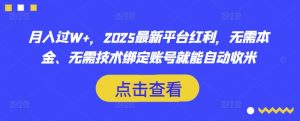 月入过W+，2025最新平台红利，无需本金、无需技术绑定账号就能自动收米-网创论坛