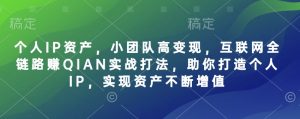 个人IP资产，小团队高变现，互联网全链路赚QIAN实战打法，助你打造个人IP，实现资产不断增值-网创论坛