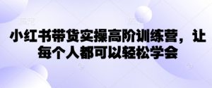 小红书带货实操高阶训练营，让每个人都可以轻松学会-网创论坛