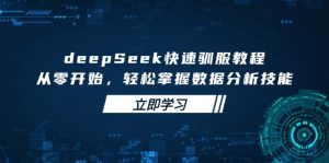deepSeek快速驯服教程，从零开始，轻松掌握数据分析技能-网创论坛