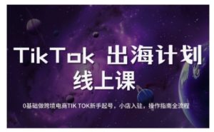 TikTok跨境电商新手起号与运营全攻略,0基础做跨境电商TIKTOK新手起号,小店入驻,操作指南全流程-网创论坛