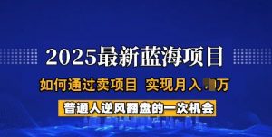 2025蓝海项目，普通人如何通过卖项目，实现月入过W，全过程【揭秘】-网创论坛