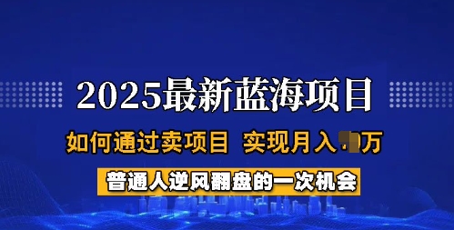 2025蓝海项目,普通人如何通过卖项目,实现月入过W,全过程【揭秘】-网创论坛