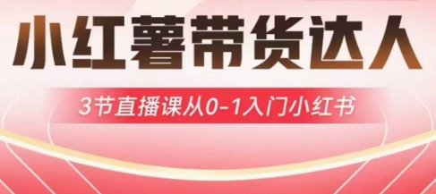 小红薯达人带货启航计划,3节直播课从0-1入门小红书-网创论坛
