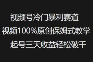 视频号冷门暴利赛道视频100%原创保姆式教学起号三天收益轻松破千-网创论坛