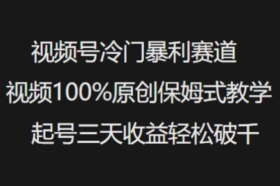 视频号冷门暴利赛道视频100%原创保姆式教学起号三天收益轻松破千-网创论坛