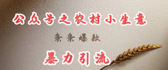 deepseek写农村小项目，条条爆款，暴力引流-网创论坛