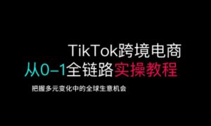 TikTok跨境电商从0-1全链路全方位实操教程，把握多元变化中的全球生意机会-网创论坛